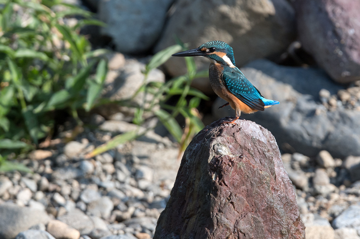 blog_pic03422.jpg