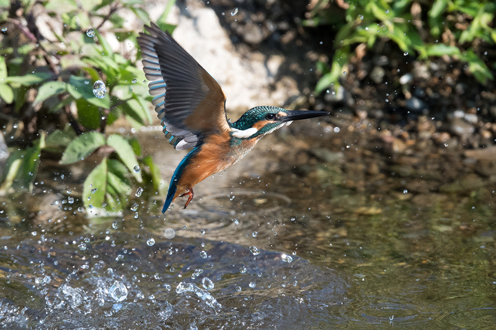 blog_pic03423.jpg