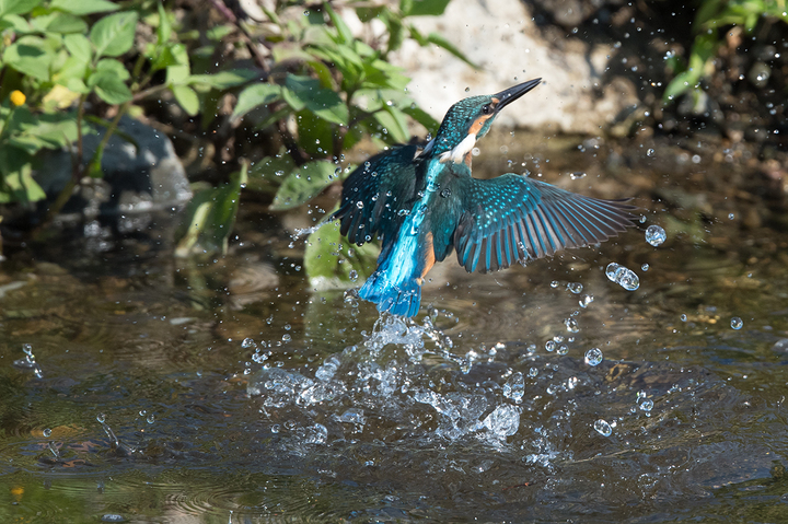 blog_pic03424.jpg