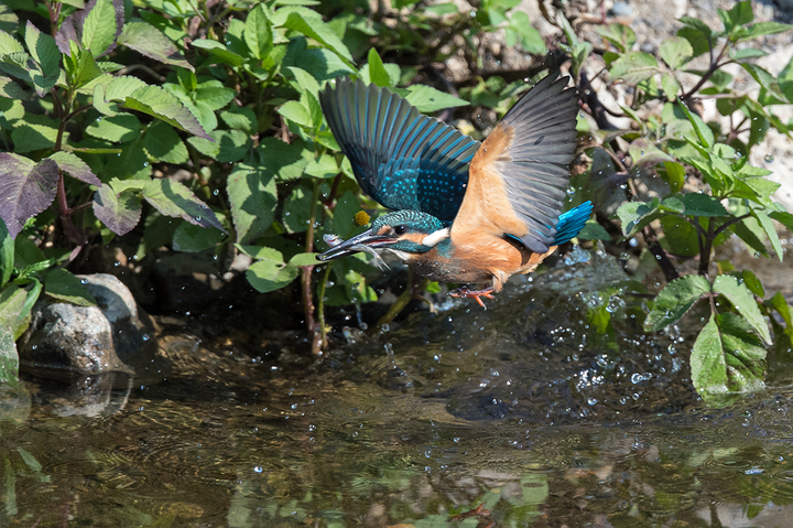 blog_pic03425.jpg