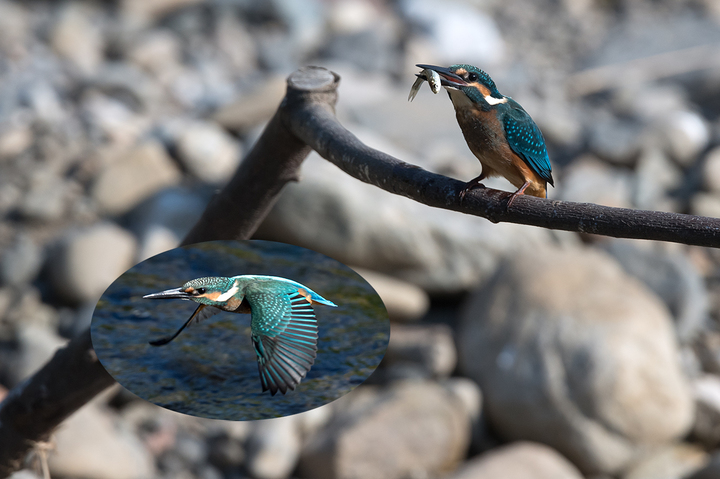 blog_pic03427.jpg