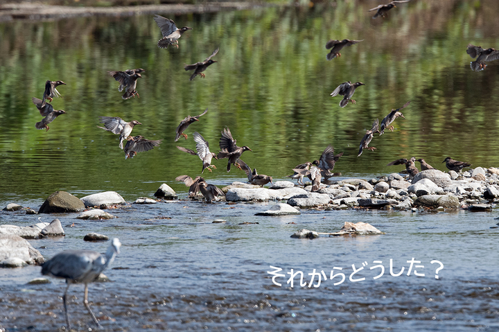 blog_pic03428.jpg