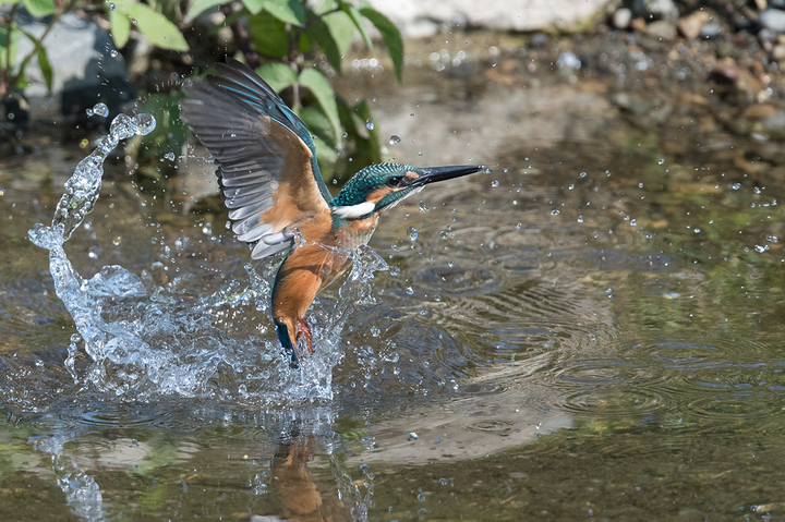 blog_pic03431.jpg