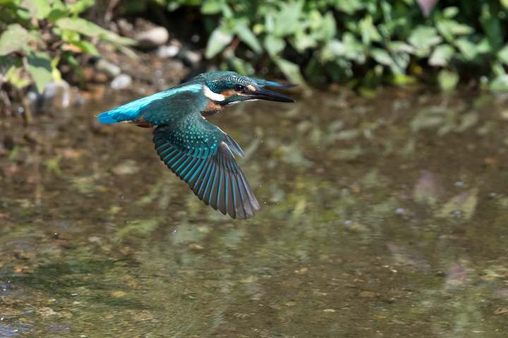 blog_pic03433.jpg