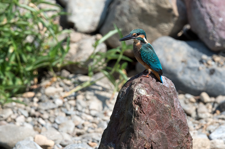 blog_pic03434.jpg