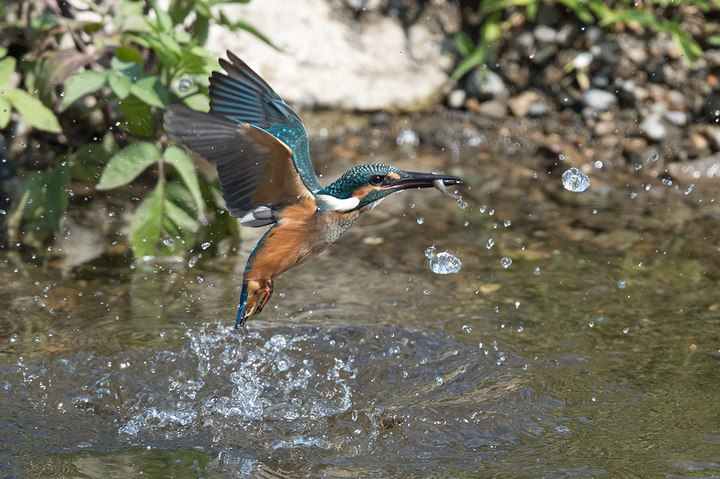blog_pic03436.jpg