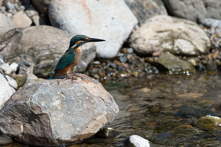 blog_pic03437.jpg