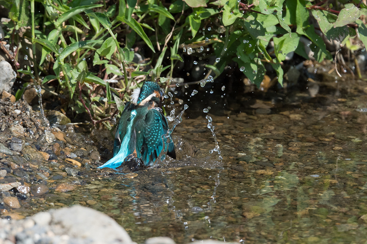 blog_pic03438.jpg