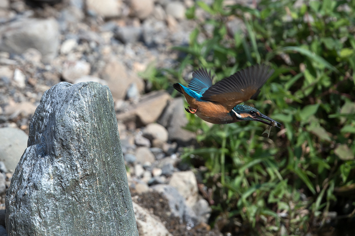 blog_pic03439.jpg