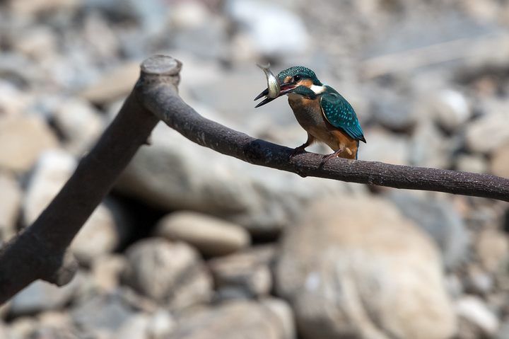blog_pic03440.jpg