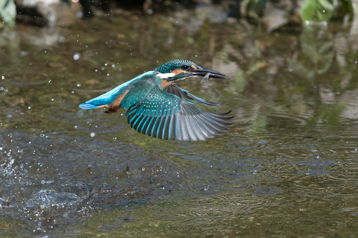blog_pic03442.jpg