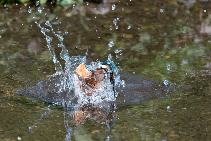 blog_pic03444.jpg