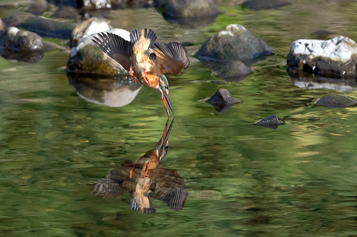blog_pic036241.jpg