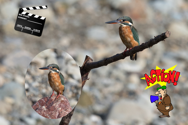 blog_pic036245.jpg