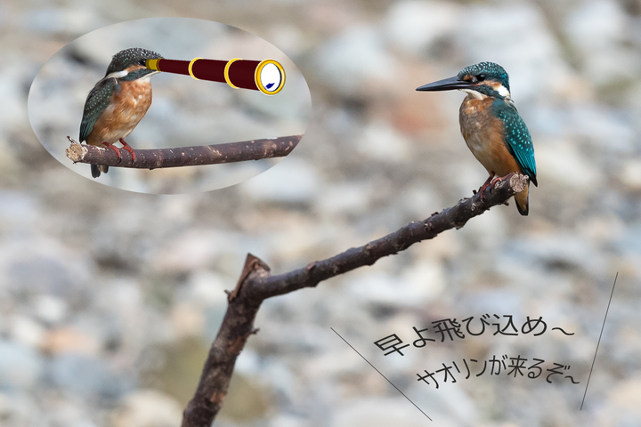 blog_pic036256.jpg