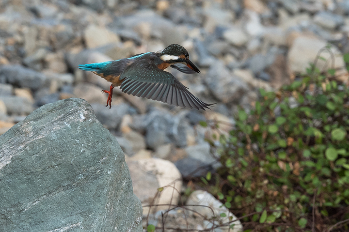blog_pic036266.jpg