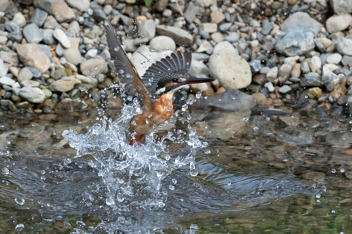 blog_pic036269.jpg
