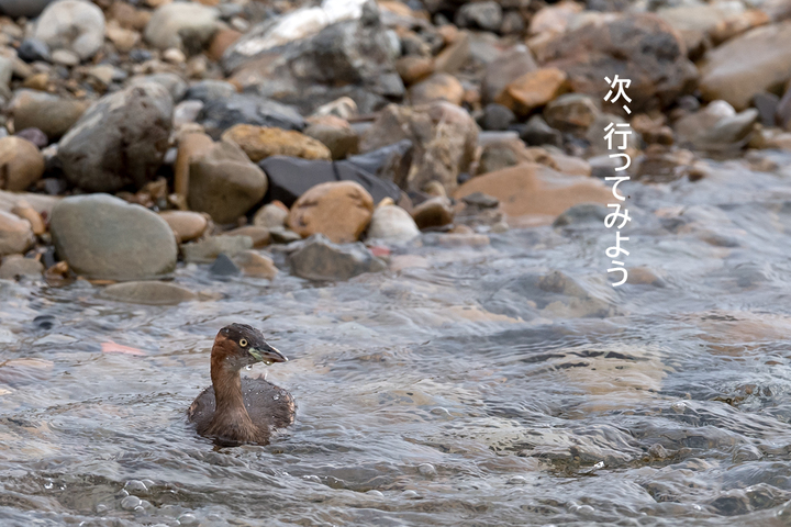 blog_pic0363158.jpg