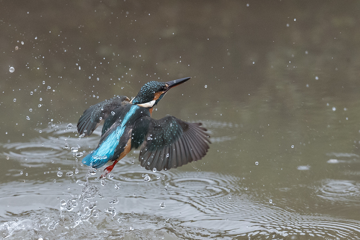 blog_pic0363165.jpg