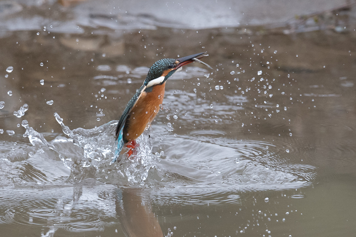 blog_pic0363169.jpg
