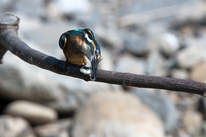 blog_pic03443.jpg
