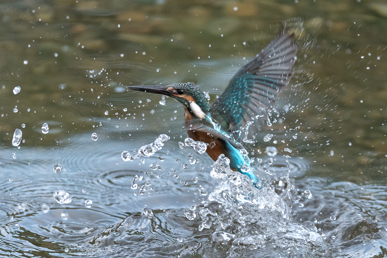 f:id:xjmarin:20200915202707j:plain