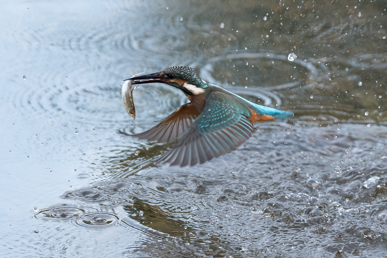 f:id:xjmarin:20200915202904j:plain