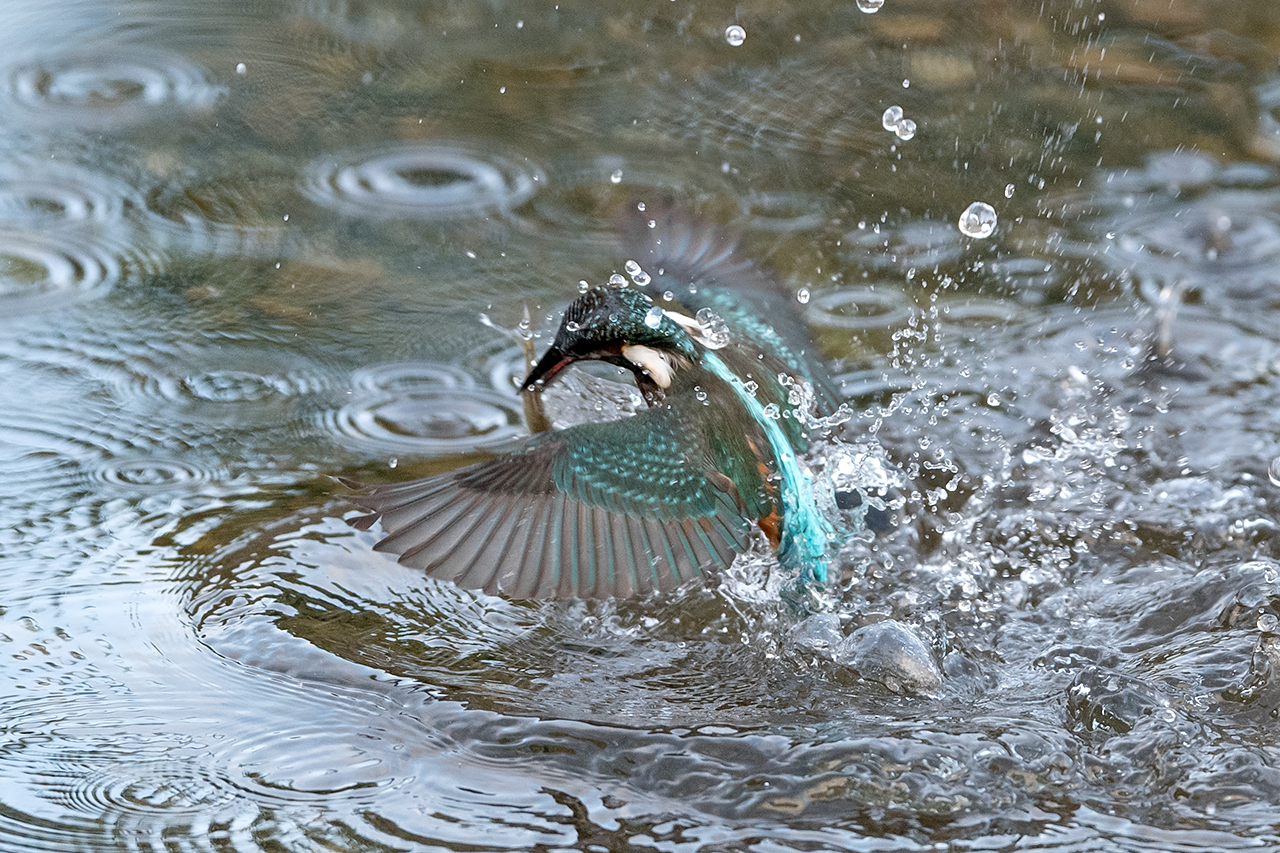 f:id:xjmarin:20200915202912j:plain