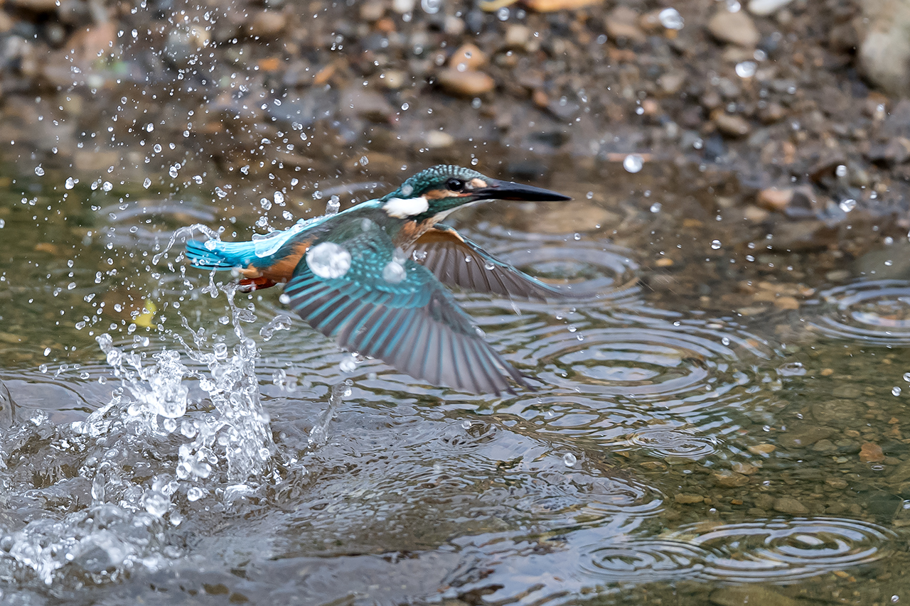 f:id:xjmarin:20200915203029j:plain