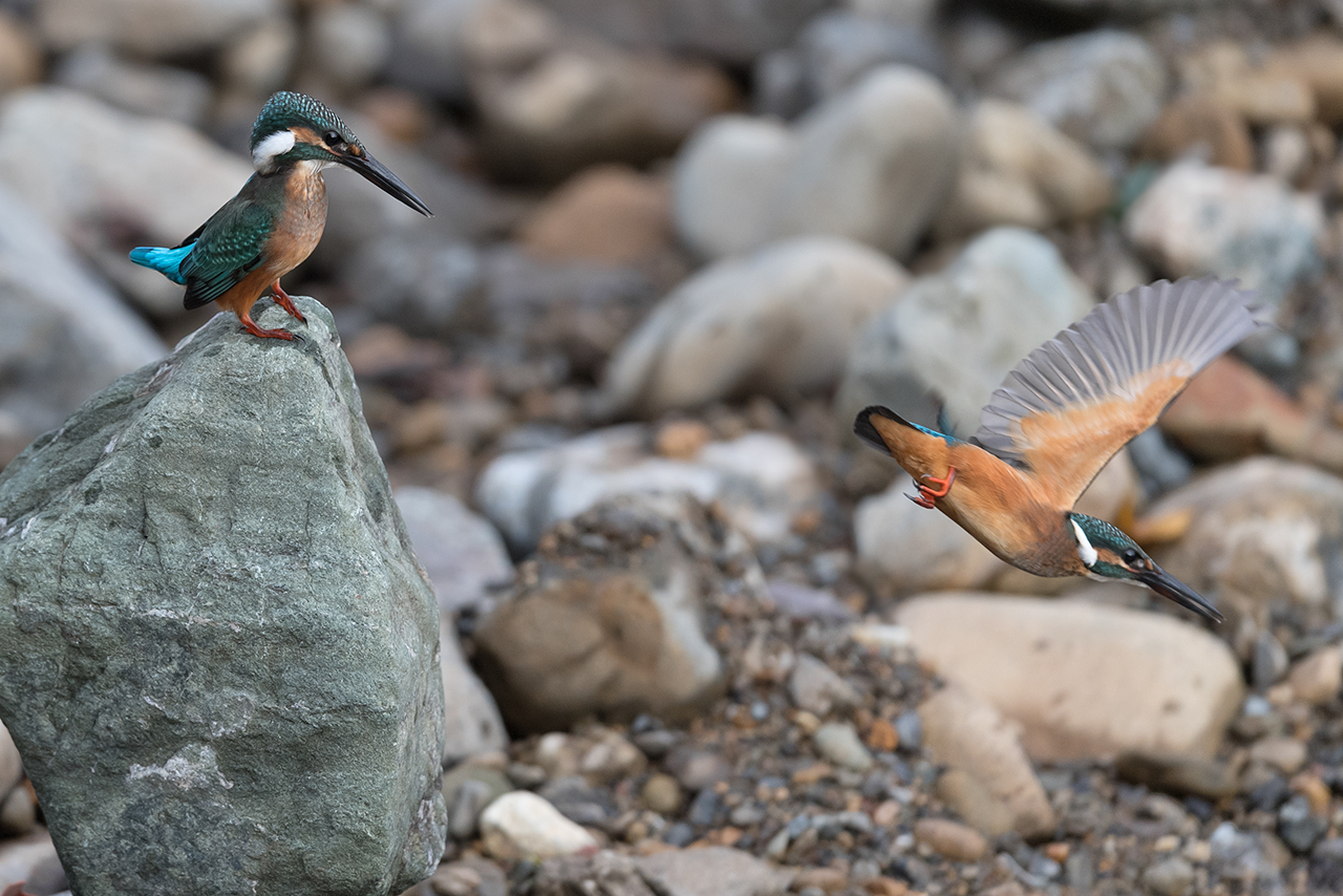 f:id:xjmarin:20200915203129j:plain