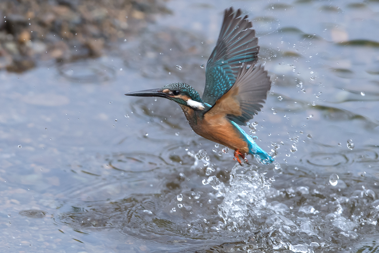 f:id:xjmarin:20200915203139j:plain