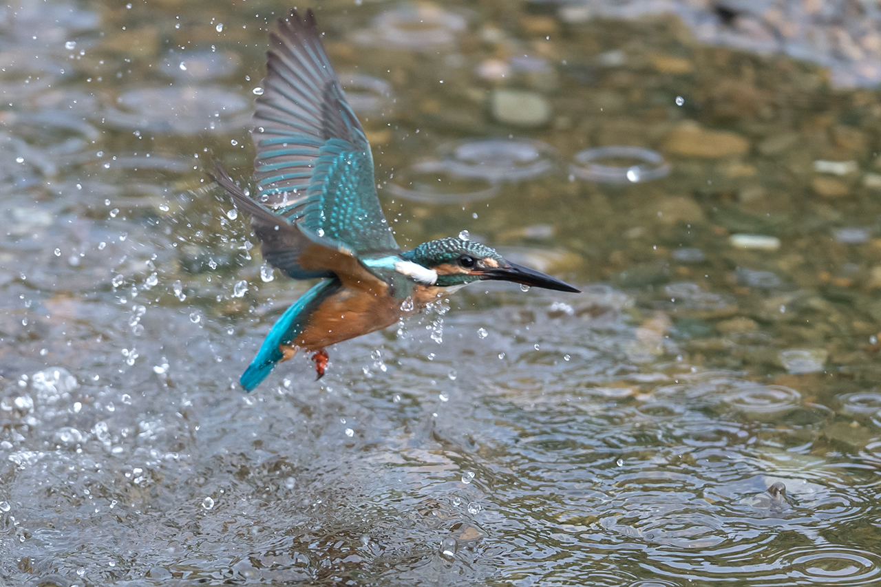 f:id:xjmarin:20200915203153j:plain