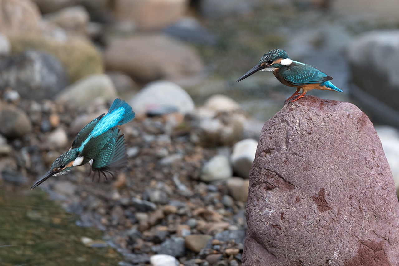 f:id:xjmarin:20200915203217j:plain