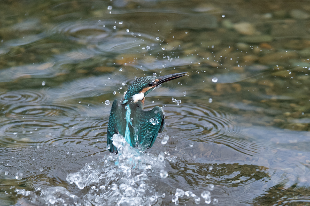 f:id:xjmarin:20200915203224j:plain