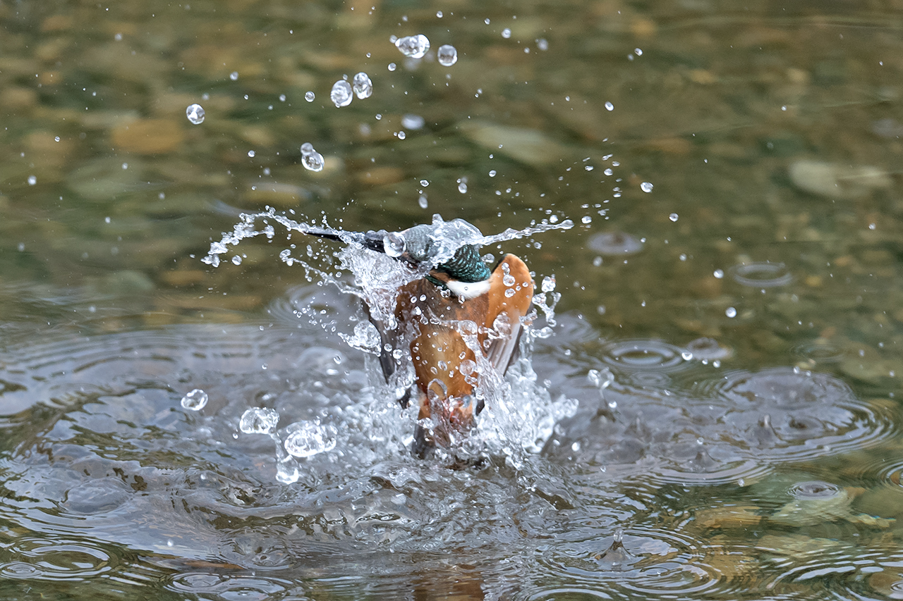 f:id:xjmarin:20200915203238j:plain