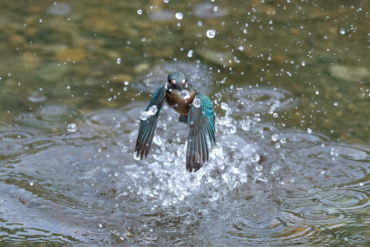 f:id:xjmarin:20200915203247j:plain