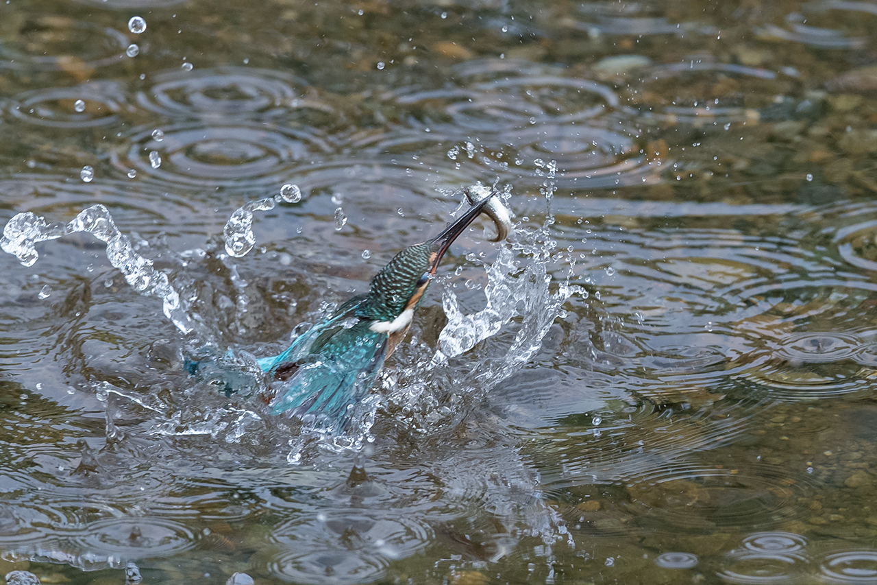 f:id:xjmarin:20200915203313j:plain