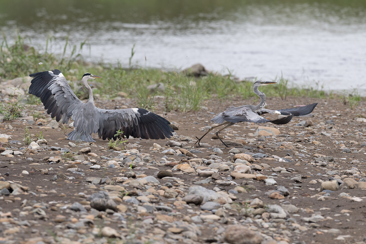 f:id:xjmarin:20200915203339j:plain