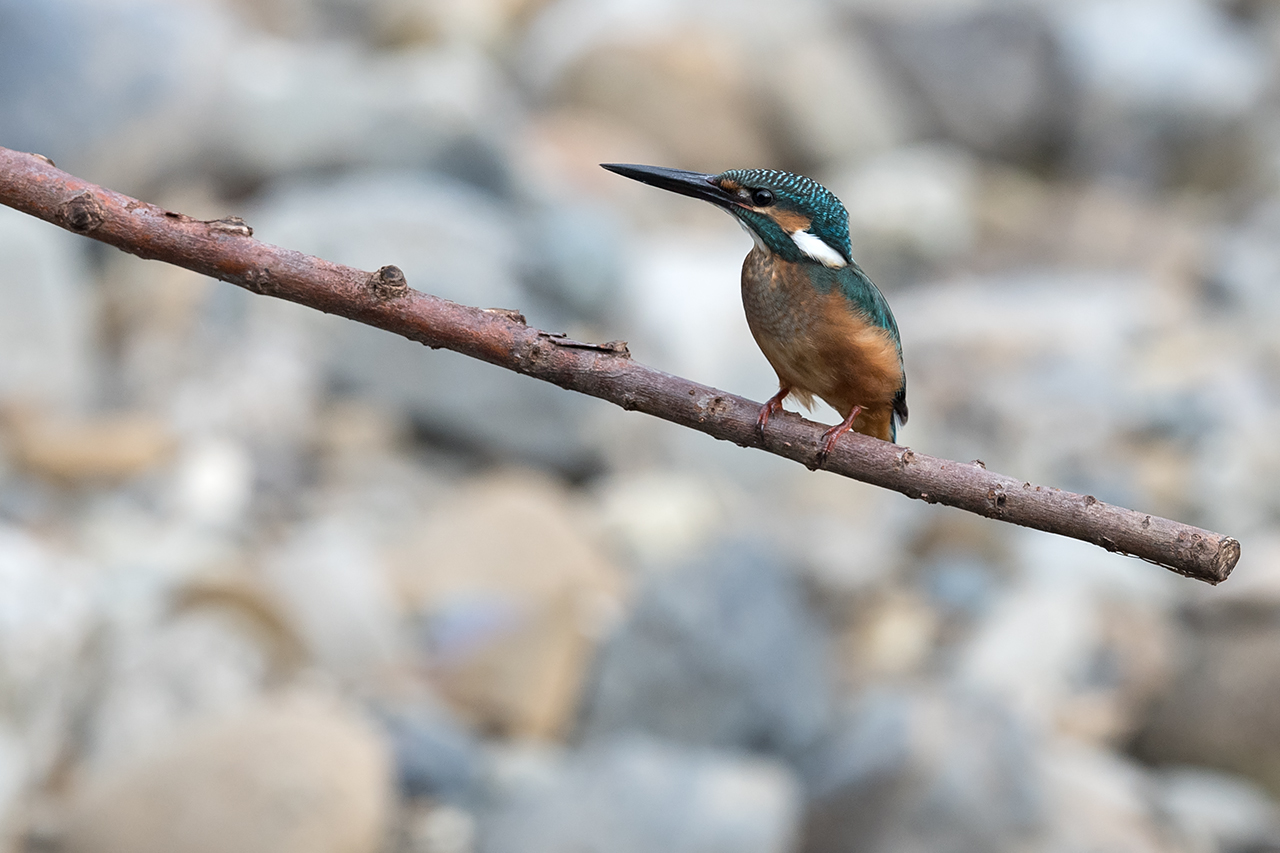 f:id:xjmarin:20200915203403j:plain