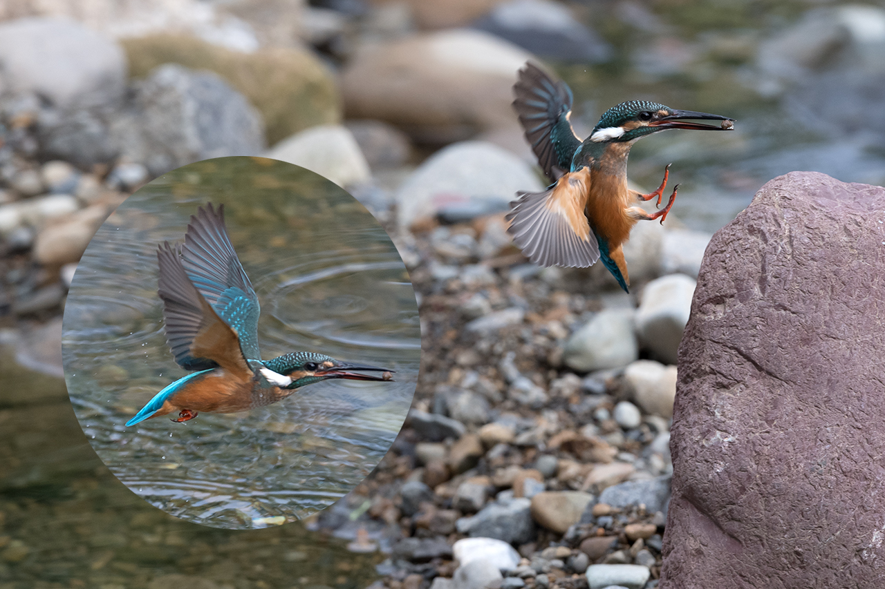 f:id:xjmarin:20200915203410j:plain