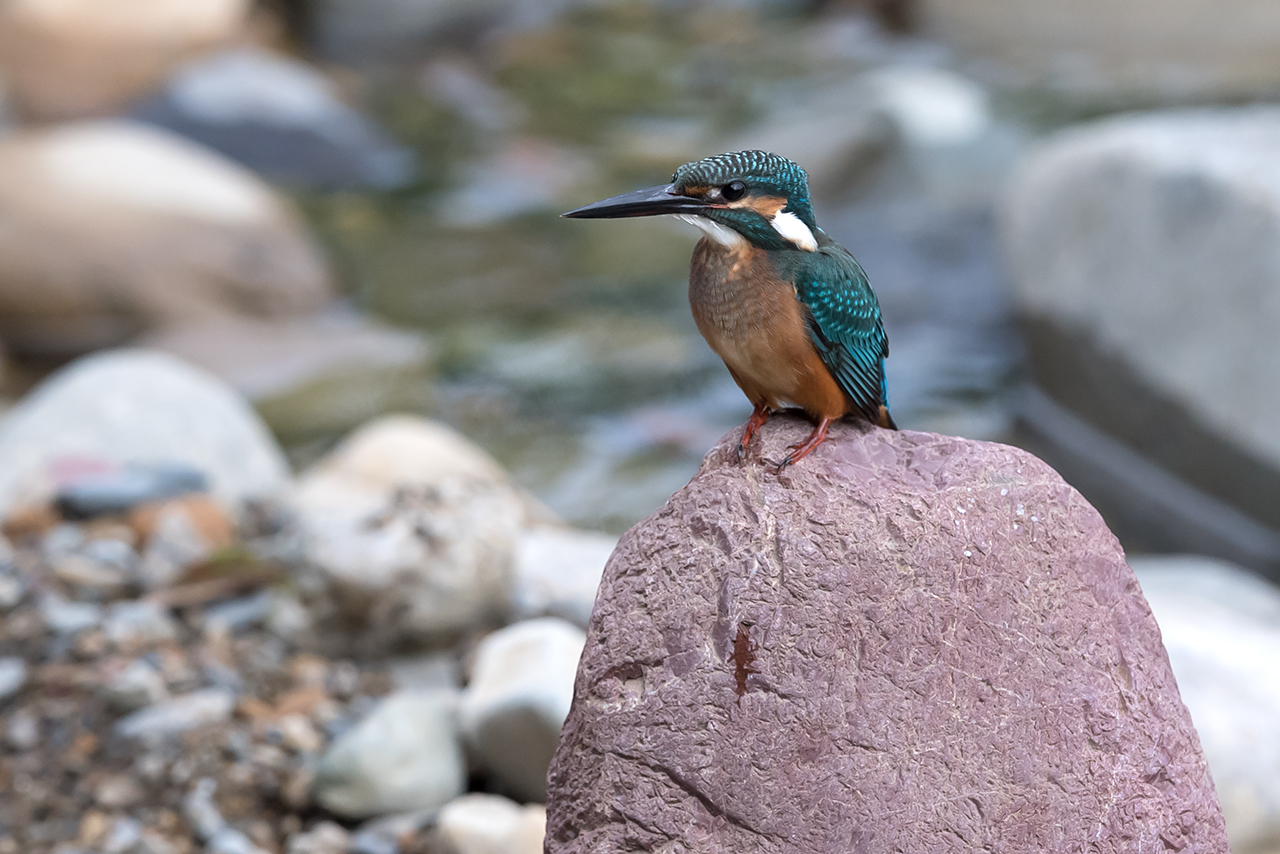 f:id:xjmarin:20200915203415j:plain