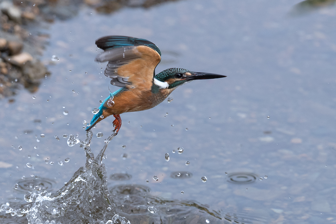 f:id:xjmarin:20200915203422j:plain