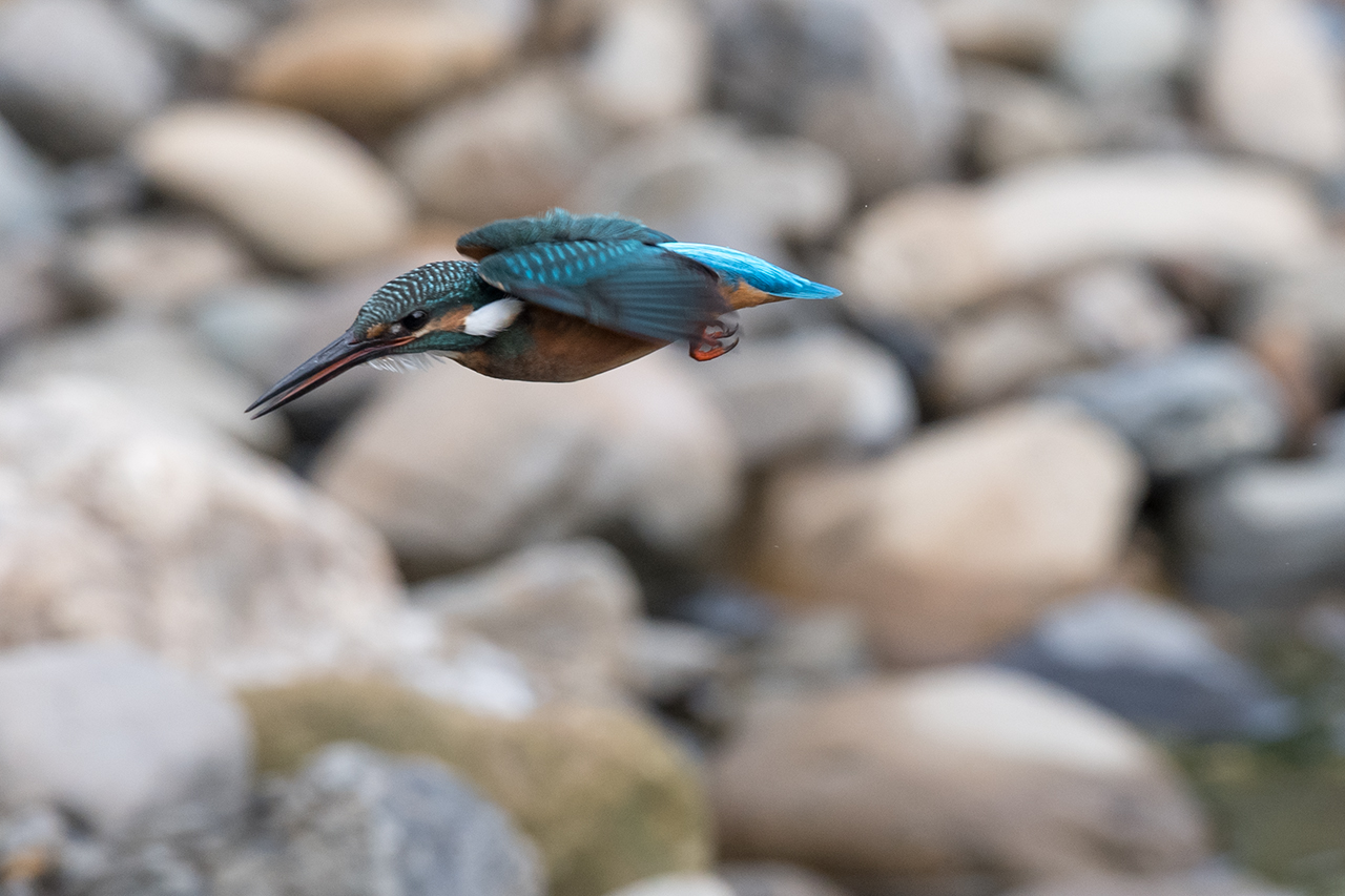 f:id:xjmarin:20200915203433j:plain