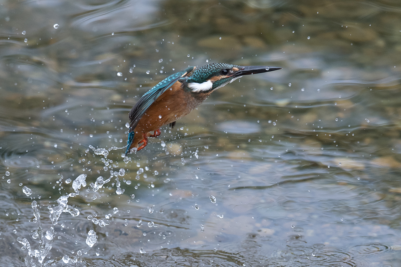 f:id:xjmarin:20200915203438j:plain