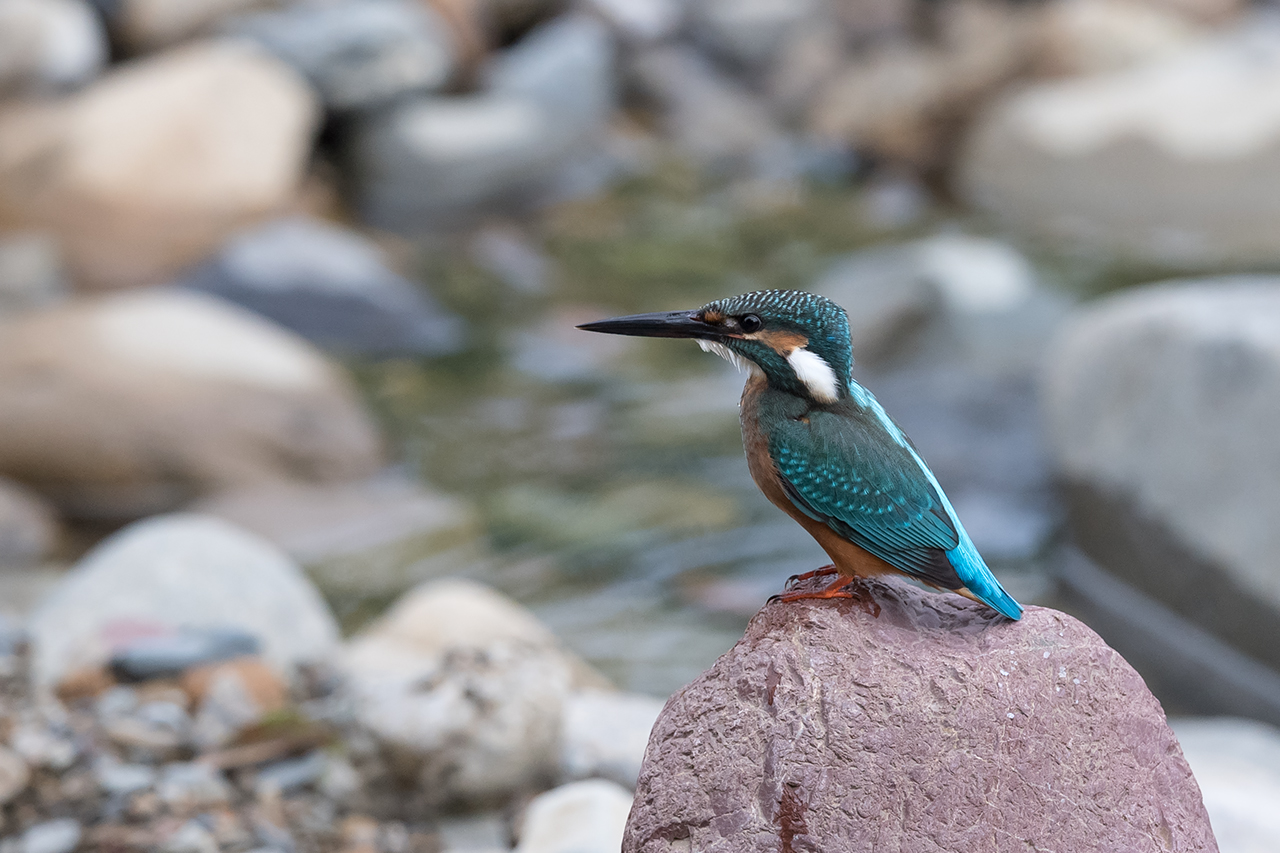 f:id:xjmarin:20200915203505j:plain