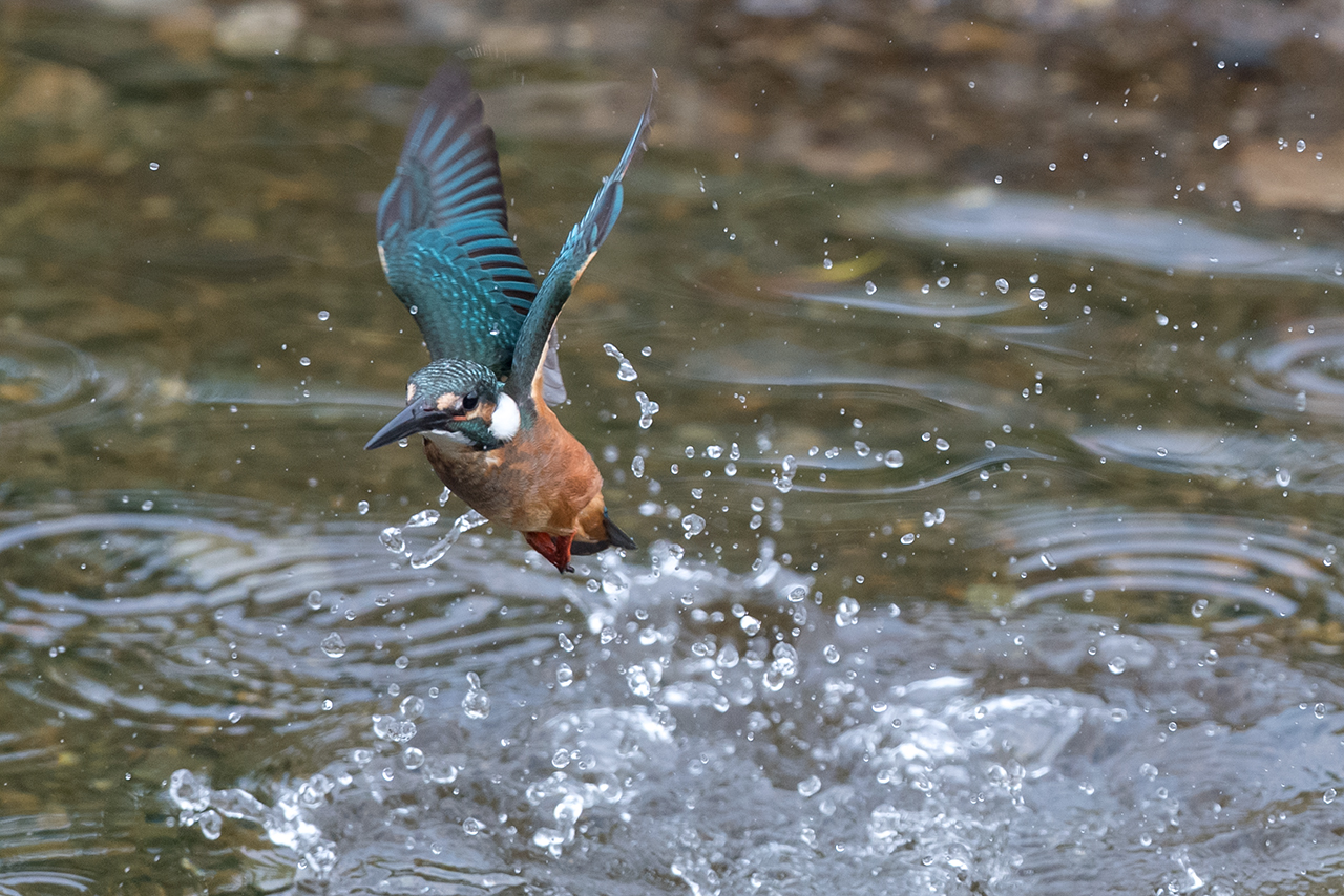 f:id:xjmarin:20200915203515j:plain