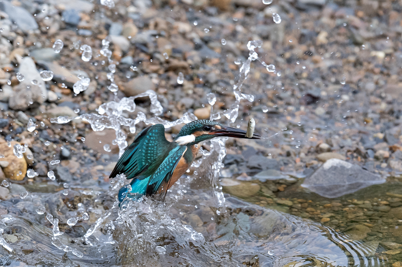 f:id:xjmarin:20200915203525j:plain