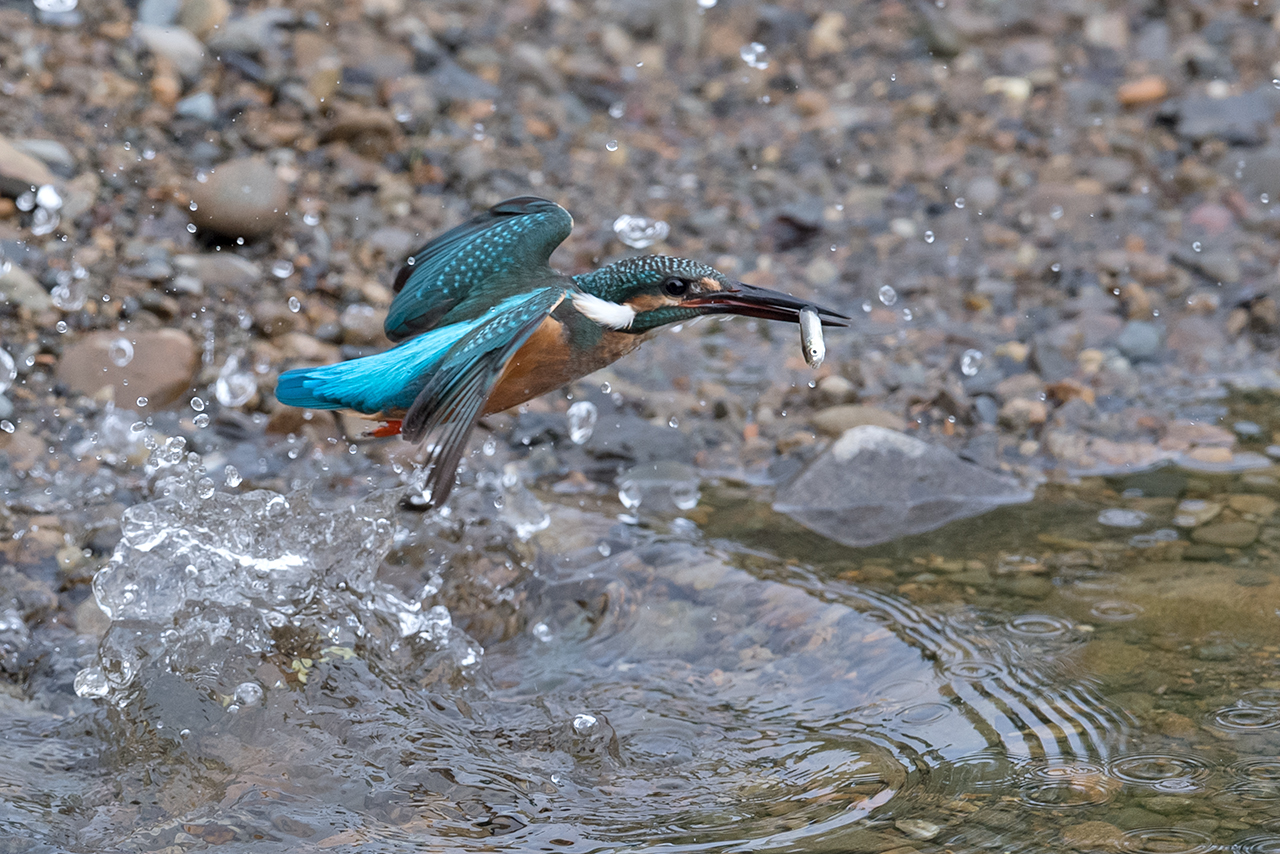 f:id:xjmarin:20200915203535j:plain