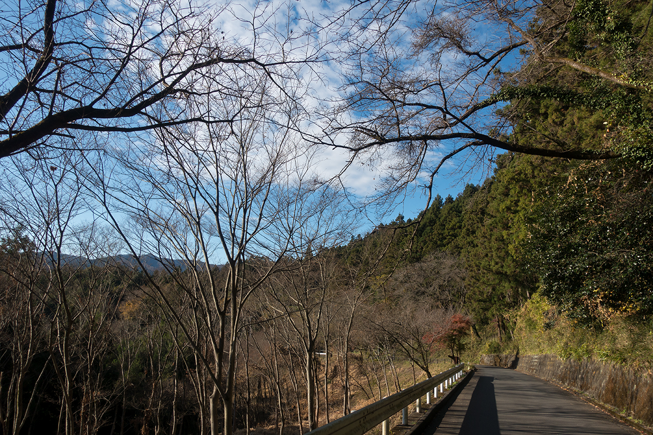 f:id:xjmarin:20201129163813j:plain