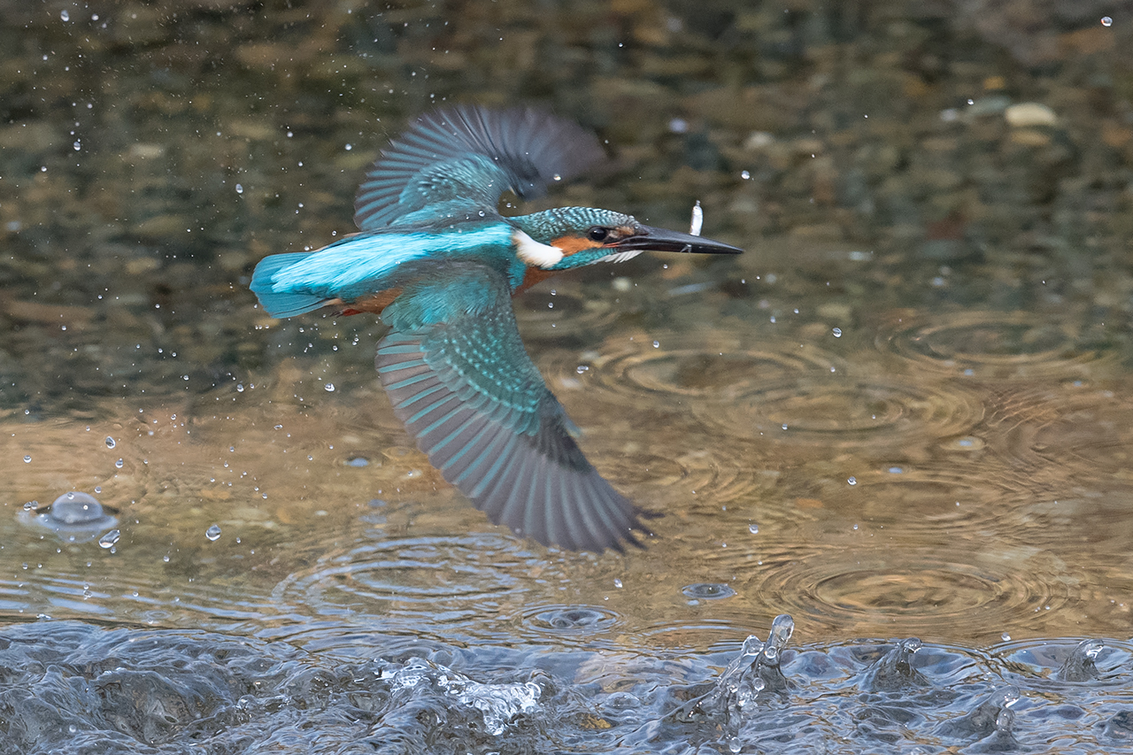f:id:xjmarin:20201213170720j:plain